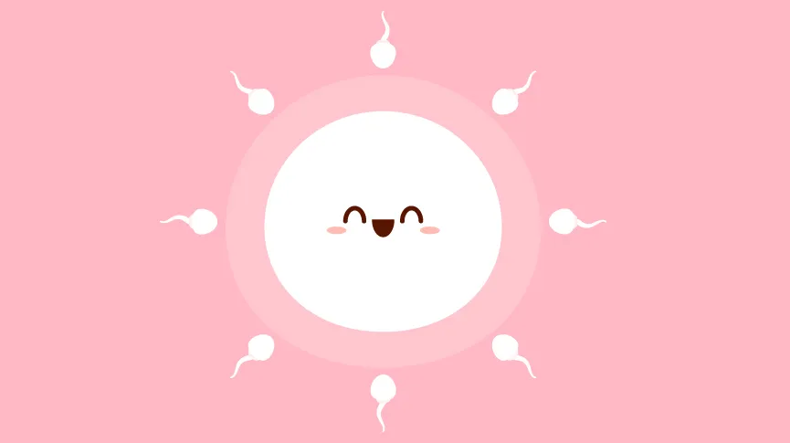 What Does It Mean to Have Kissing Ovaries?