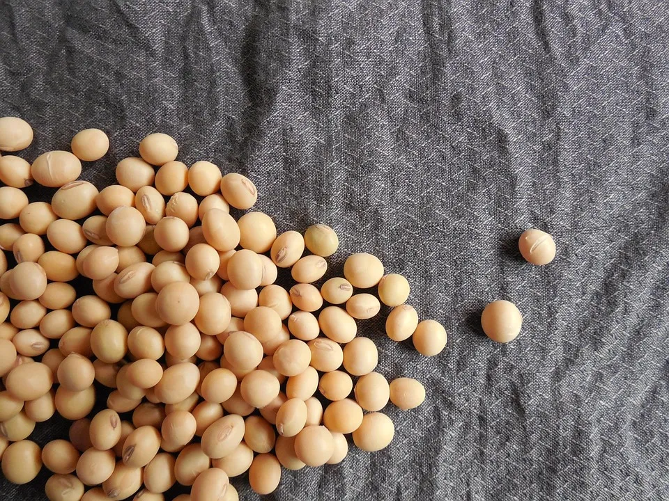 Plant-Powered Performance: How Plant-Based Supplements Can Enhance Athletic Performance