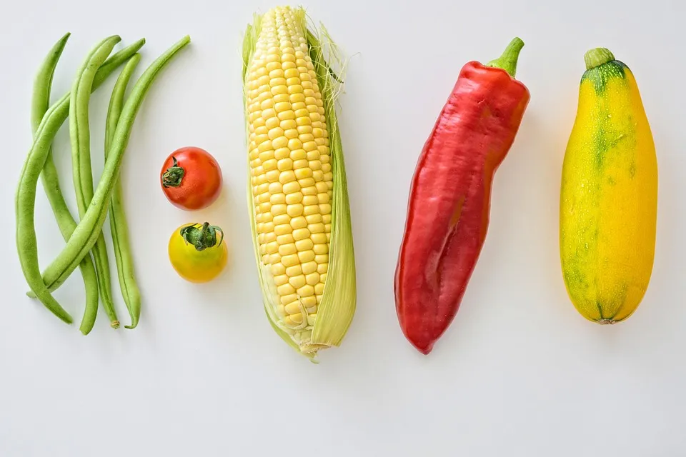 The Science Behind Plant-Based Supplements: How They Support Overall Health and Wellbeing