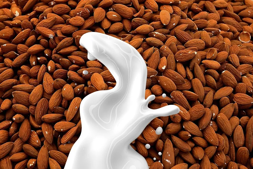 Making the Switch: Why More Consumers are Choosing Plant-Based Supplements Over Synthetic Options
